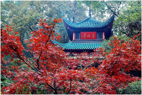 岳麓山-麓山秋色