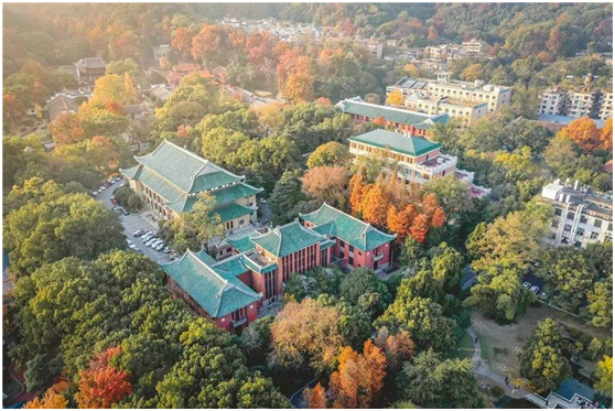 鸟瞰校园