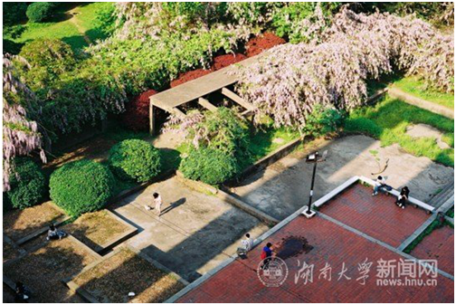 紫藤花开（英语公园）